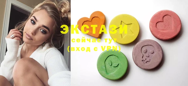 ECSTASY Богородицк