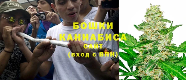 ECSTASY Богородицк