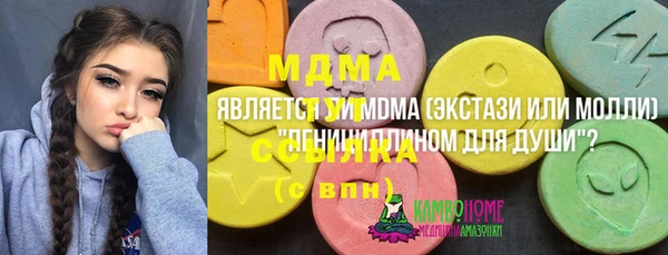 мдпв Богданович